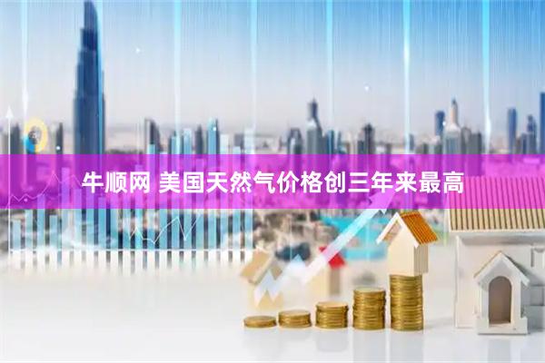 牛顺网 美国天然气价格创三年来最高