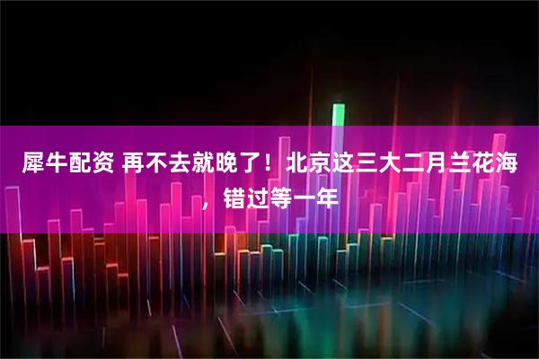 犀牛配资 再不去就晚了！北京这三大二月兰花海，错过等一年
