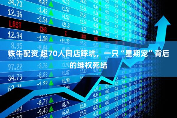 铁牛配资 超70人同店踩坑，一只“星期宠”背后的维权死结